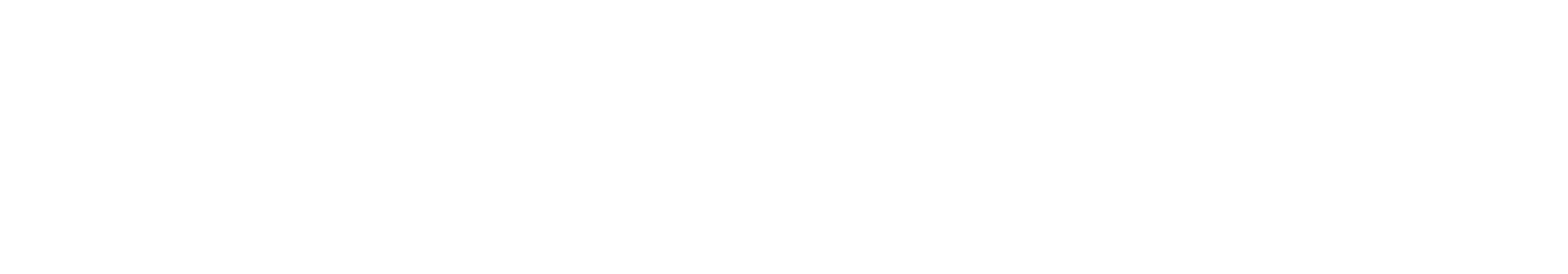 ShelbyWindow-02